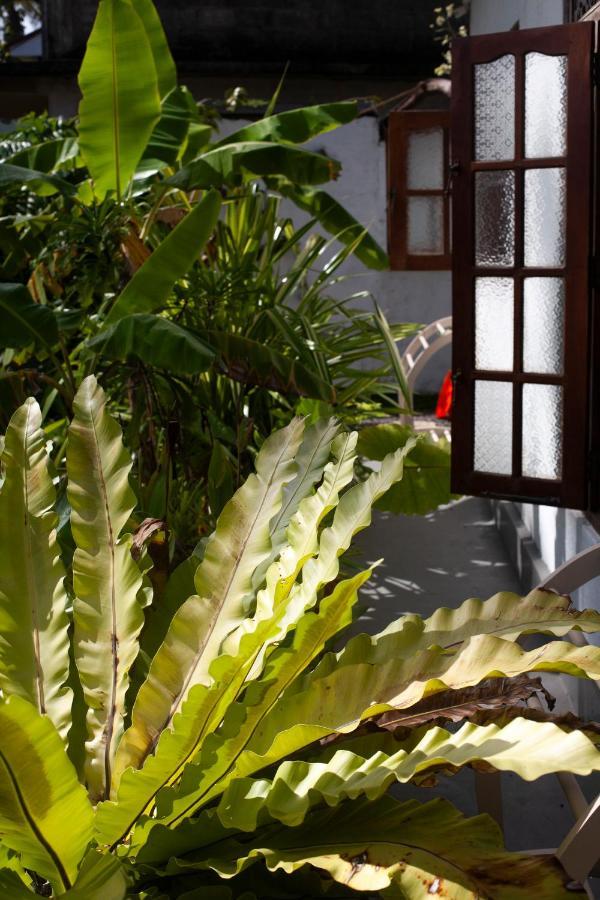 Marshmallow Homestay Ahangama Esterno foto