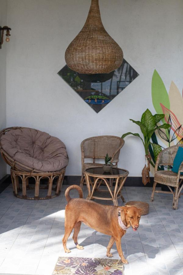 Marshmallow Homestay Ahangama Esterno foto